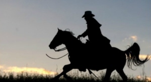 Horse bits at Equigear