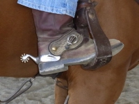 Spurs at Equigear